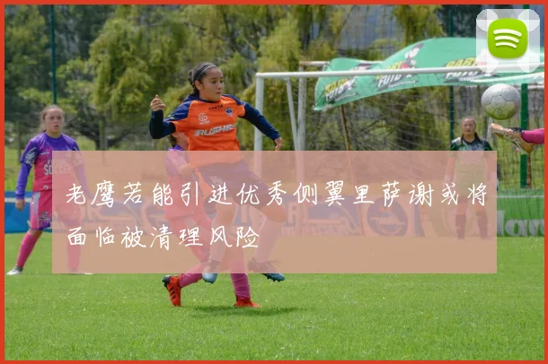 老鹰若能引进优秀侧翼里萨谢或将面临被清理风险